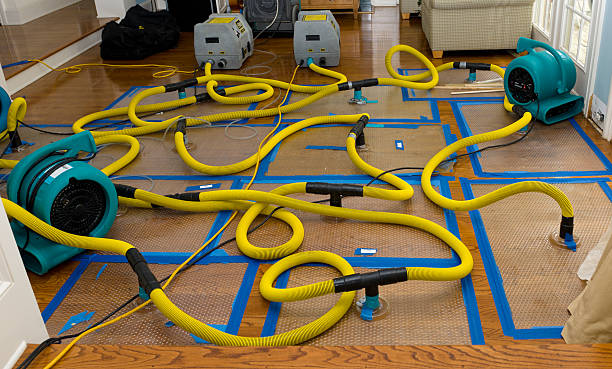 Professional Basement Flood Cleanup technician working in Forest Hills, PA